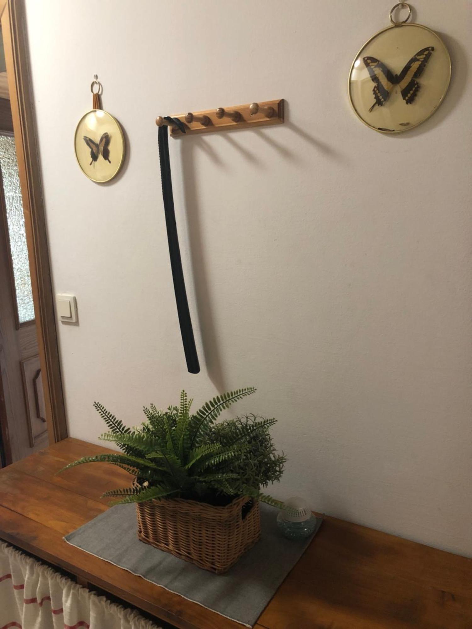 Ferienwohnung Susanne Hillbrand 巴特奥塞 外观 照片